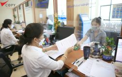 Giai phap so hoa ho tich voi viisan s210